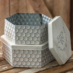 Bee Box Set of 2