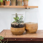 Farmhouse Terrarium