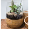 Farmhouse Terrarium