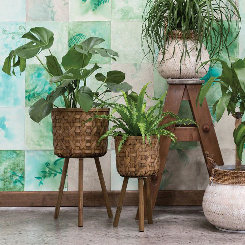 Bam Basket Plant Stand