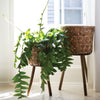 Bam Basket Plant Stand