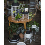 Harding Plant Stand