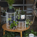 Harding Plant Stand