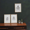 Tatacoa Cactus Trio Wall Art