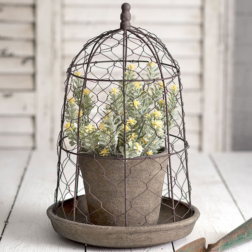 Chicken Wire Cloche with Terra Cotta Pot and Saucer