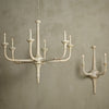 Currey & Co Aleister Chandelier