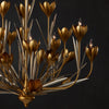 Currey & Co Hortensia Chandelier