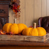 Felt Wool Pumpkin Sculpture Set of 2