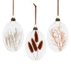 Dried Floral Glass Ornament Set of 12