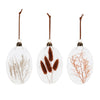 Dried Floral Glass Ornament Set of 12