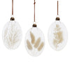 Dried Floral Glass Ornament Set of 12