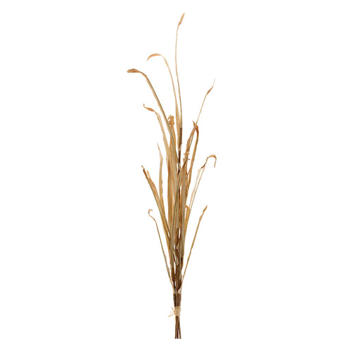 Tall Harvest Grass Faux Plant Stem Set of 2