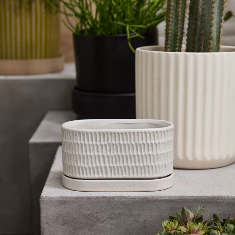 Zelle Planter with Saucer