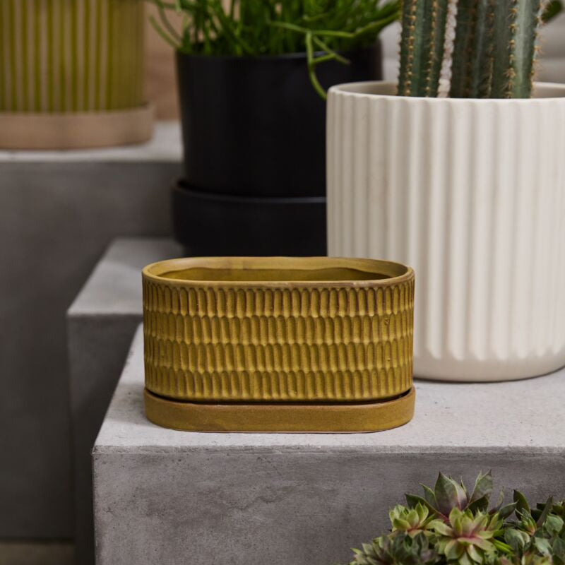 Zelle Planter with Saucer