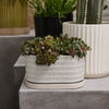 Zelle Planter with Saucer