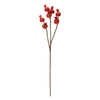 Harvest Pomegranate Foliage Faux Plant Stem Set of 2