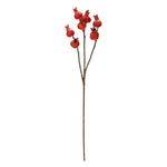 Harvest Pomegranate Foliage Faux Plant Stem Set of 2