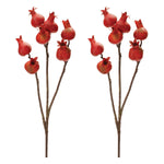 Harvest Pomegranate Foliage Faux Plant Stem Set of 2