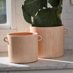 Apricot Pot