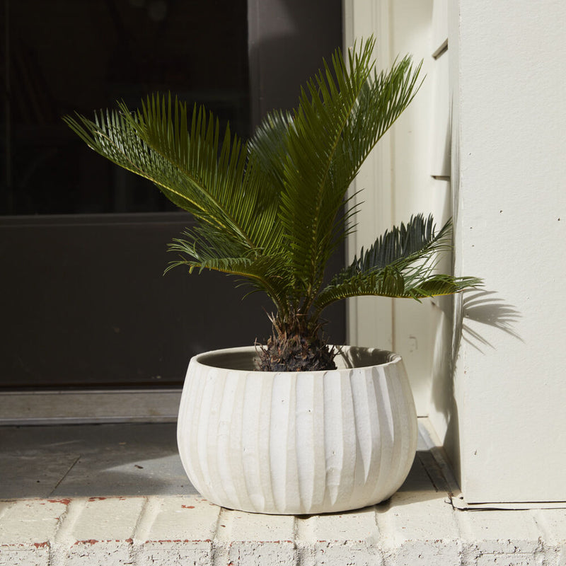 Arid Pot