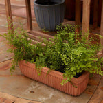 Tyndall Planter