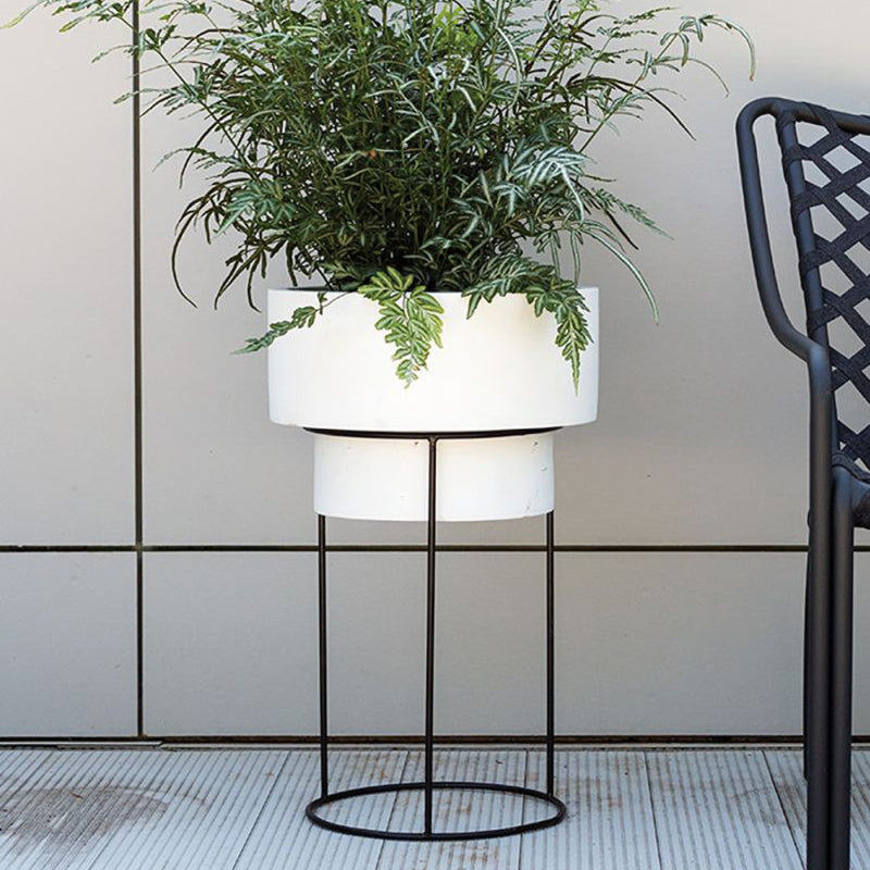 Moa Plant Stand