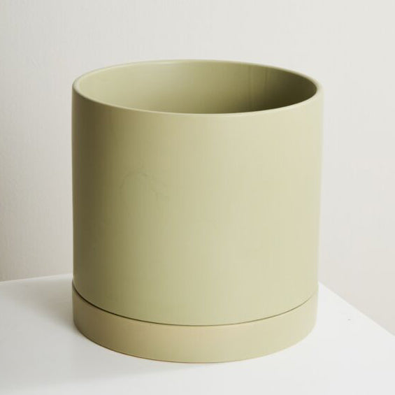 Romey Neutral Pot with Saucer