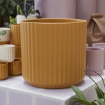 Beam Pot