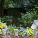 Antique White Pot Set of 2