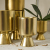 Gold De Vil Pot