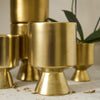 Gold De Vil Pot