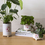 Plant Luv Pot Set of 2