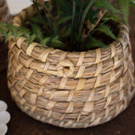 Bee Skep Storage Basket Set of 2