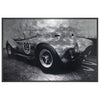 Sunpan Cobra 427 Wall Art