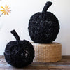 Twig Pumpkin Set of 2