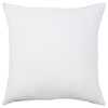 Jaipur Living Acapulco Parque Indoor/Outdoor Pillow