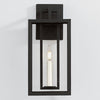 Troy Lighting Amire Outdoor Wall Sconce