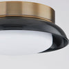 Troy Lighting Arnie Flush Mount