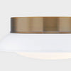 Troy Lighting Arnie Flush Mount