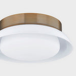 Troy Lighting Arnie Flush Mount