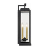 Crystorama Aspen Outdoor Wall Sconce