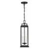 Crystorama Aspen Outdoor Pendant