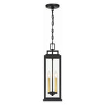 Crystorama Aspen Outdoor Pendant