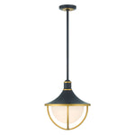 Crystorama Atlas Outdoor Pendant