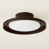 Troy Lighting Cannes Outdoor Flush Mount