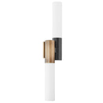 Troy Lighting Koa Wall Sconce