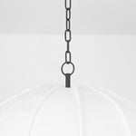 Troy Lighting Bayu Pendant