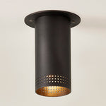 Troy Lighting Berg Flush Mount