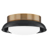 Troy Lighting Arnie Flush Mount