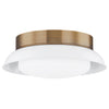 Troy Lighting Arnie Flush Mount